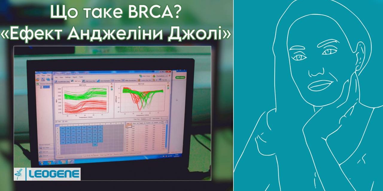 BRCA1,  BRCA2 та ризик онкологічних захворювань.